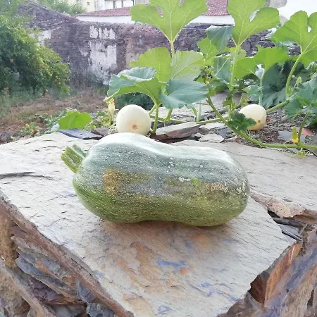 Moinho Eiras Σπίτι διακοπών Vila Nova de Fozcoa