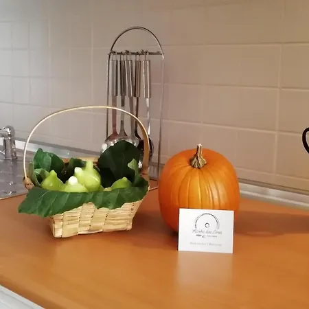 Moinho Eiras Σπίτι διακοπών Vila Nova de Fozcoa