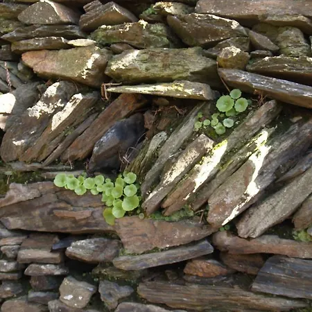 Σπίτι διακοπών Moinho Eiras *