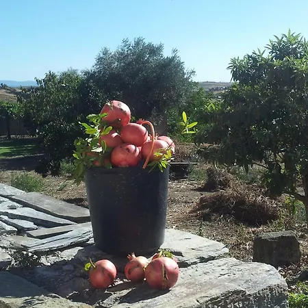 Moinho Eiras Σπίτι διακοπών