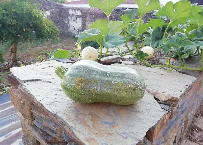 Moinho Eiras Hébergement de vacances Vila Nova de Foz Coa