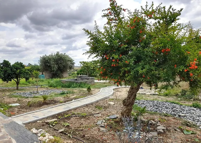 Casa de Férias Moinho Eiras