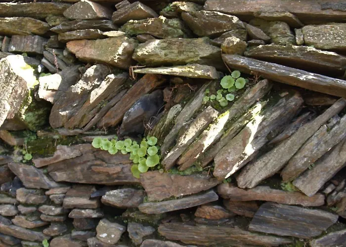 Hébergement de vacances Moinho Eiras *