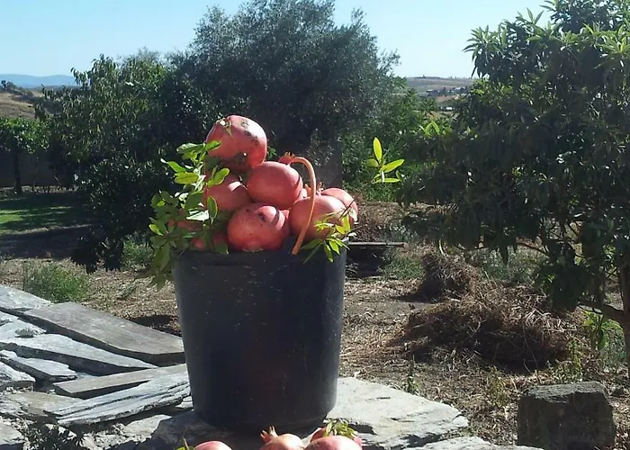 Moinho Eiras Casa de Férias