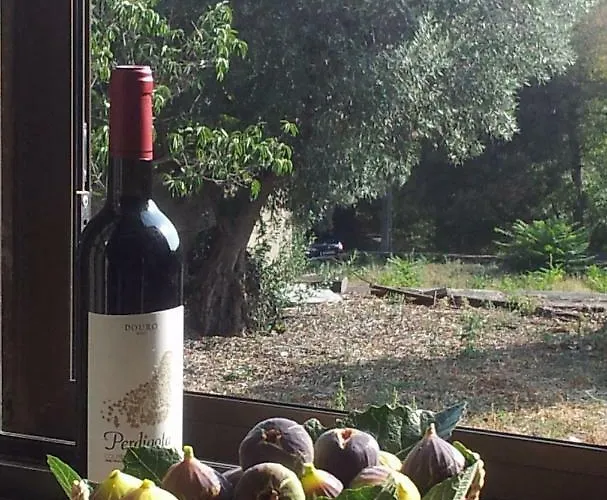 Moinho Eiras Hébergement de vacances *